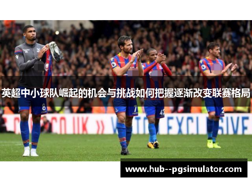 英超中小球队崛起的机会与挑战如何把握逐渐改变联赛格局