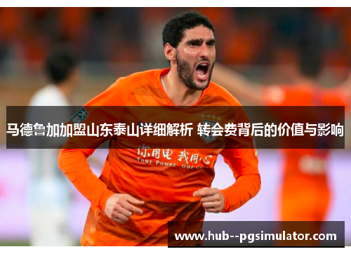马德鲁加加盟山东泰山详细解析 转会费背后的价值与影响