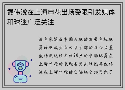 戴伟浚在上海申花出场受限引发媒体和球迷广泛关注